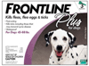 Frontline Plus Purple